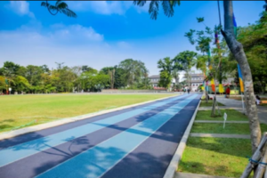 Walking tracks synthetic