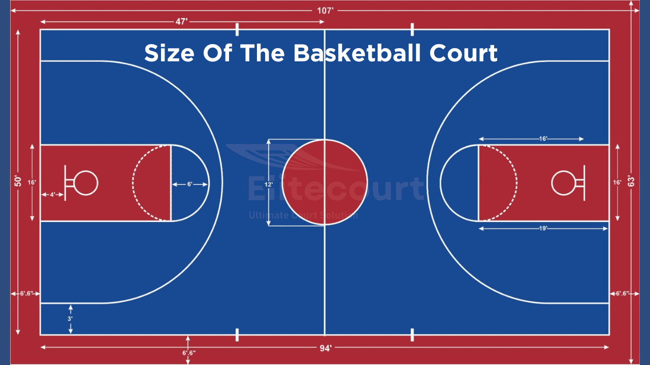 Size of the basketball court