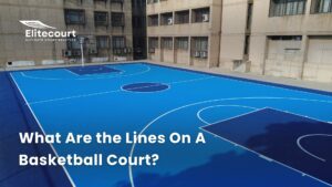 Basketball Court Lines & Areas - Guide