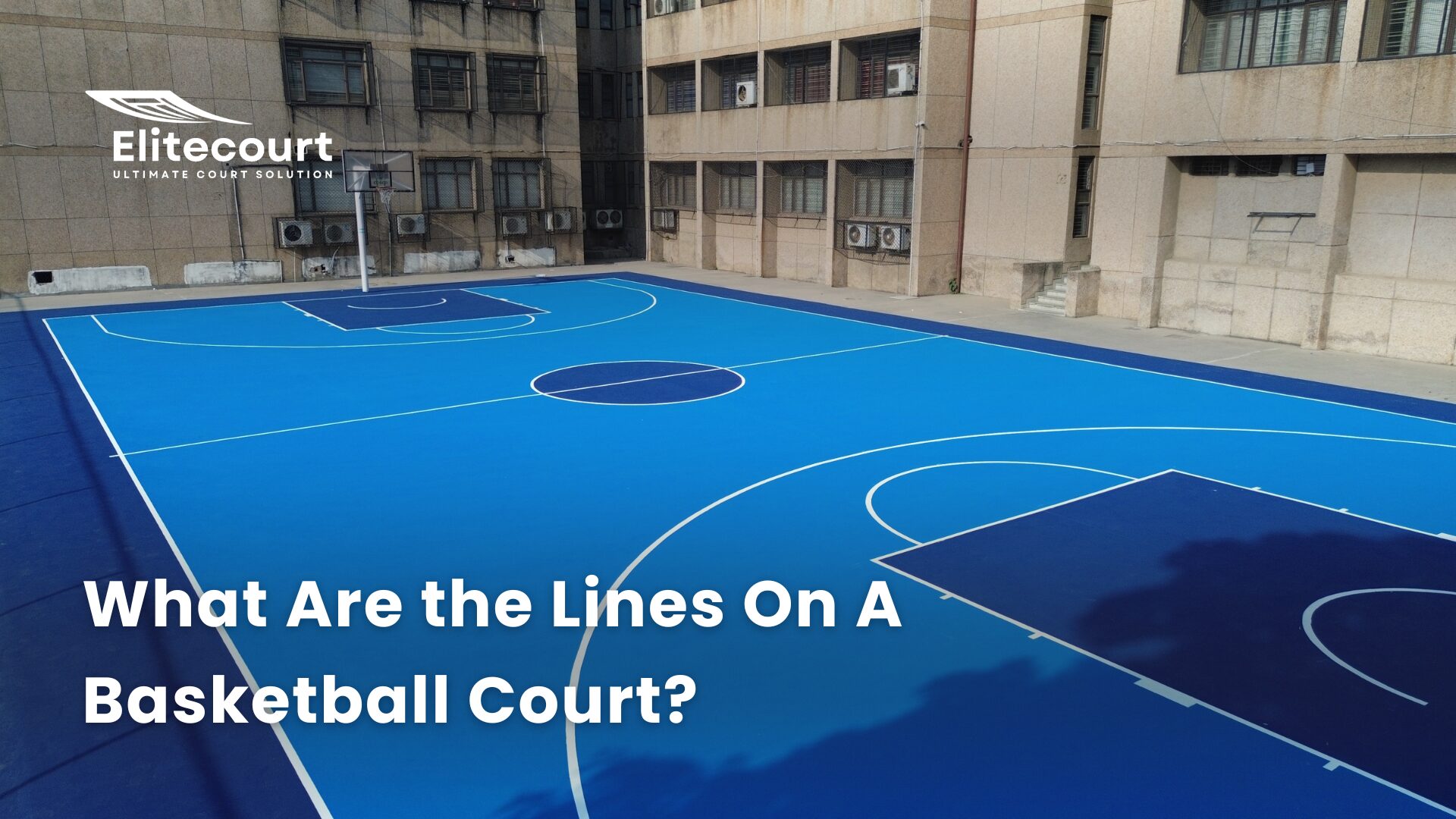 Basketball Court Lines & Areas - Guide